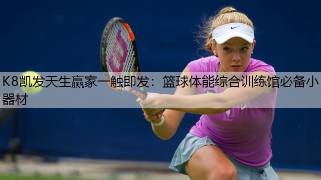 K8凯发天生赢家一触即发：篮球体能综合训练馆必备小器材
