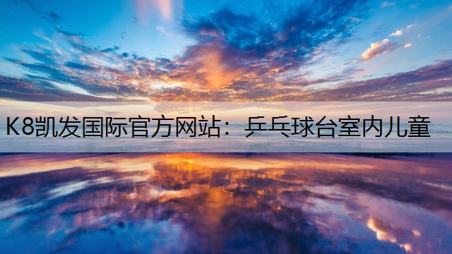 K8凯发国际官方网站：乒乓球台室内儿童