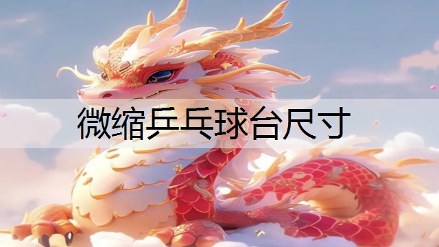 微缩乒乓球台尺寸