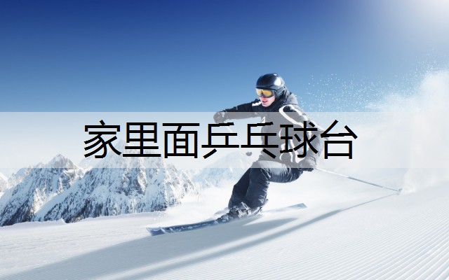 家里面乒乓球台