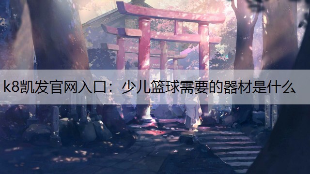 k8凯发官网入口：少儿篮球需要的器材是什么