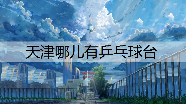 天津哪儿有乒乓球台