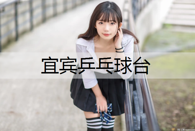 宜宾乒乓球台