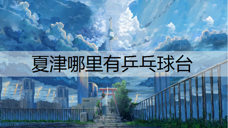夏津哪里有乒乓球台