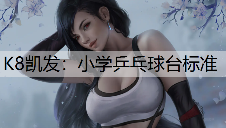 K8凯发：小学乒乓球台标准