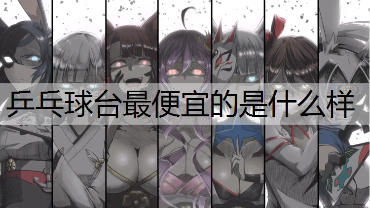 乒乓球台最便宜的是什么样
