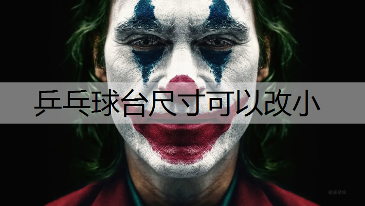 乒乓球台尺寸可以改小