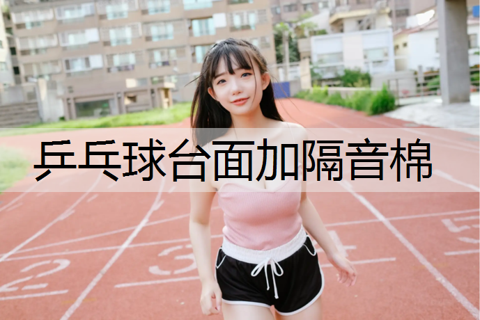 乒乓球台面加隔音棉