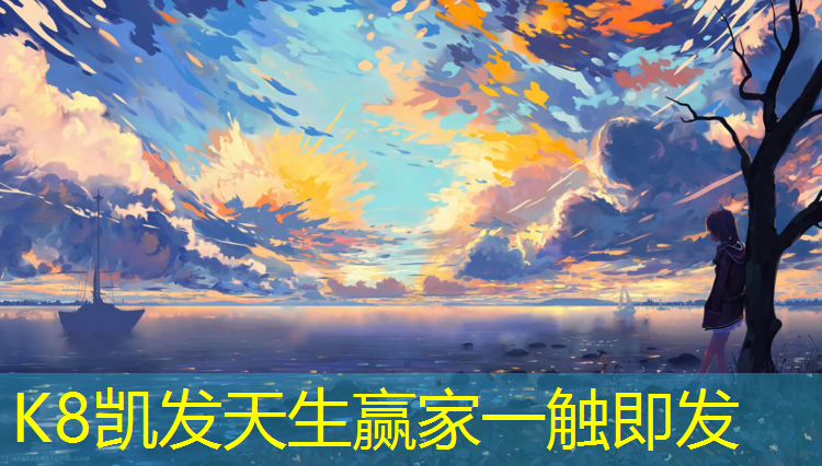 K8凯发中国官方网站：跆拳道2000年护具展示
