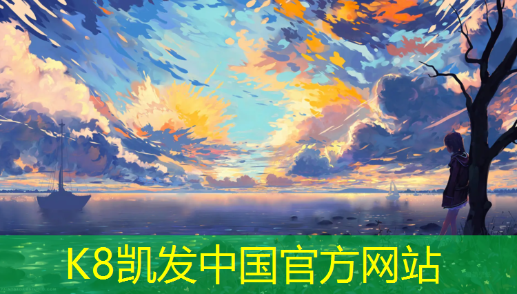 K8凯发：迪卡侬跆拳道护具