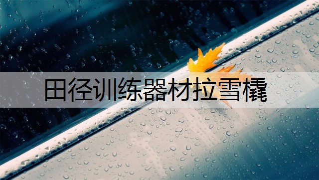 田径训练器材拉雪橇