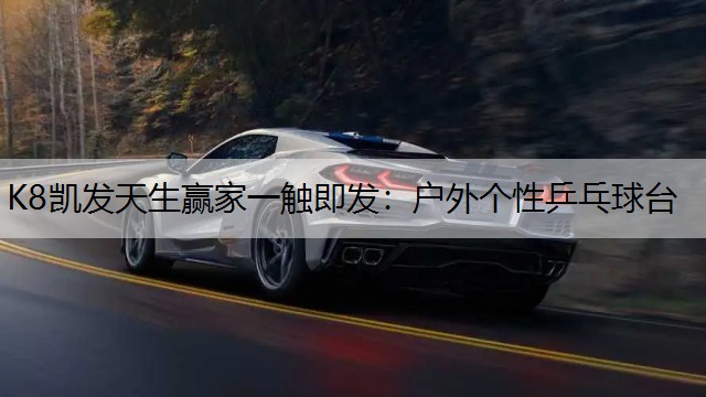 户外个性乒乓球台