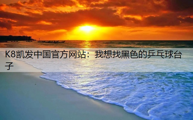 我想找黑色的乒乓球台子