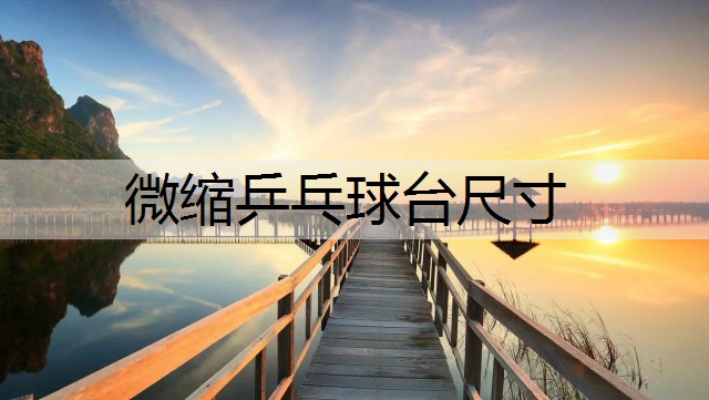 微缩乒乓球台尺寸