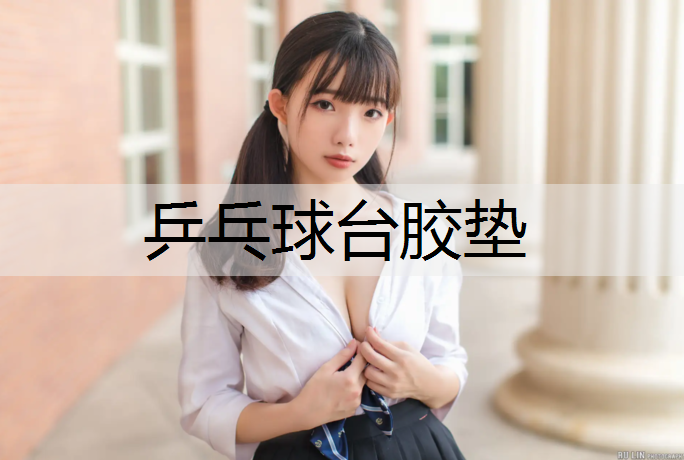 乒乓球台胶垫