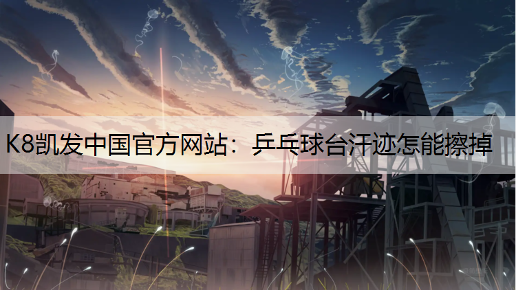 乒乓球台汗迹怎能擦掉