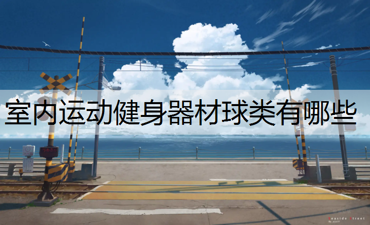 室内运动健身器材球类有哪些