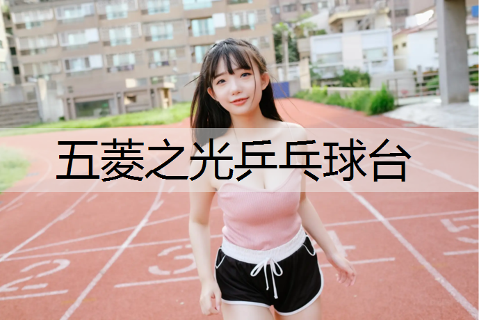 五菱之光乒乓球台