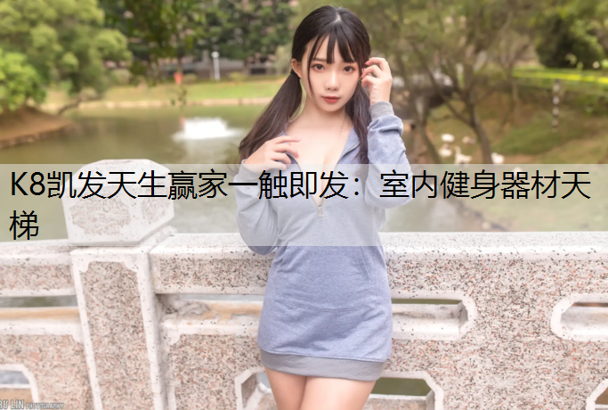 室内健身器材天梯