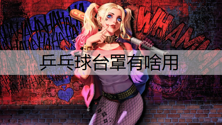 乒乓球台罩有啥用