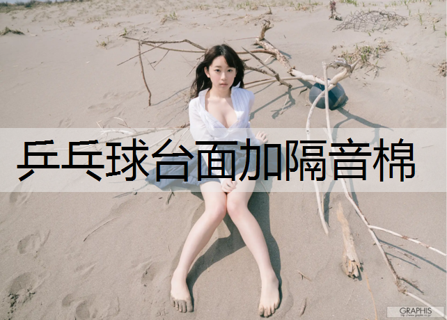 乒乓球台面加隔音棉